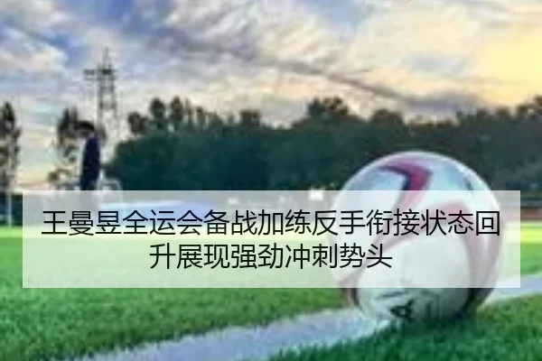 王曼昱全运会备战加练反手衔接状态回升展现强劲冲刺势头 - kaiyun